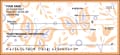 Paper Butterflies Checks - 2 - hover to see enlarged image