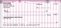 Pretty in Pink Checks - 1 - hover to see enlarged image