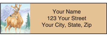 Wildlife Adventure Address Labels