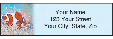 Ocean Address Labels