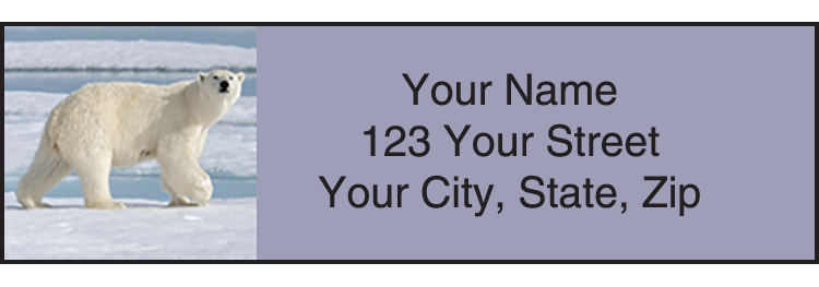 Earth Echoes Address Labels – Set of 210