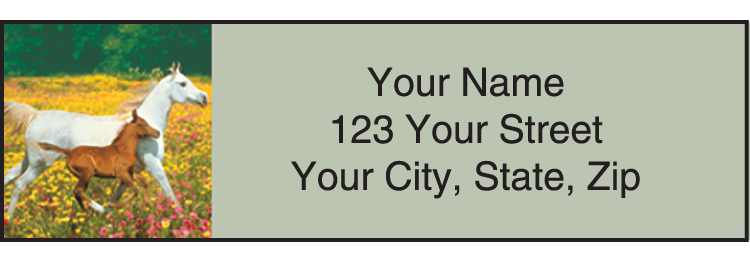 Horse Play Address Labels - Set of 210