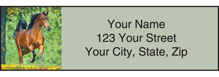 Buy Horse Play Address Labels - Set of 210