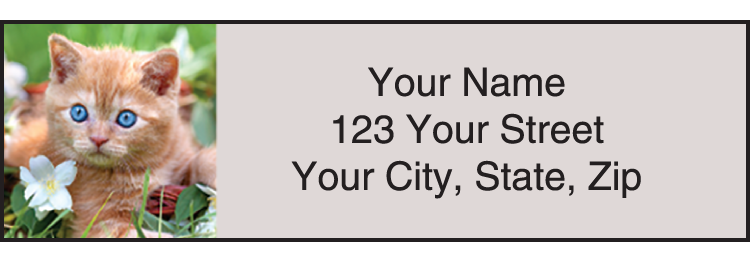 Kitty Review Address Labels – Set of 210
