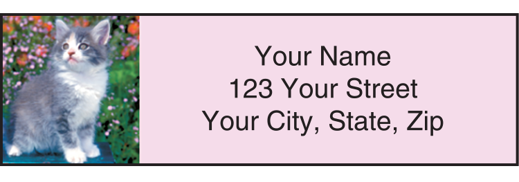 Buy Kitty Review Address Labels - Set of 210